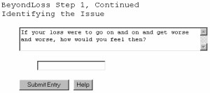 BeyondLoss - Free Self-Counseling Software for Inn 2.10.04 screenshot