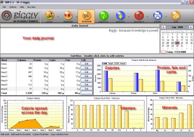 Biggly Diet Software 4.0 screenshot