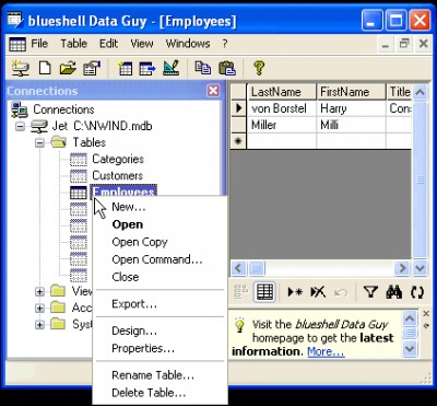 blueshell Data Guy Professional 2.03.0001 screenshot