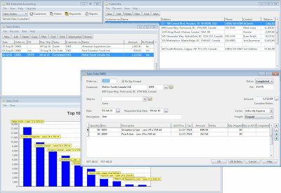 BS1 Enterprise Accounting 2021.0 screenshot