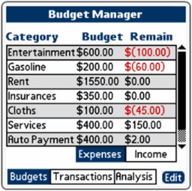 Budget Manager 2004.09.01 screenshot