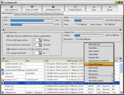 CachemanXP 2.20 screenshot