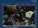 Coral Reef 1.0 screenshot