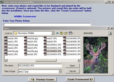 Create and Distribute Screensavers 3.11f screenshot