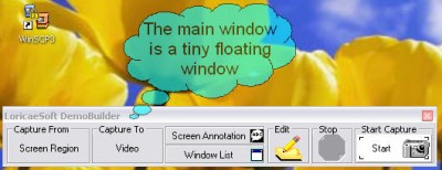 DemoBuilder Floating Screen Capture 2007.1.1 screenshot