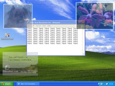 DeskPhotoFrame 1.3.0 screenshot