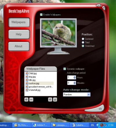 DesktopAlive 1.1 screenshot