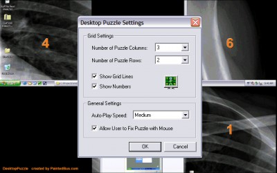 DesktopPuzzle Screen Saver 1.0 screenshot