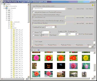 Digital Photo Resizer 2006 screenshot