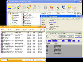 Download Accelerator Manager 5.6.0 screenshot