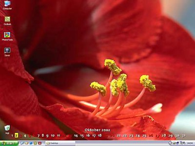 DTgrafic FlowerPower 2.6.3 screenshot