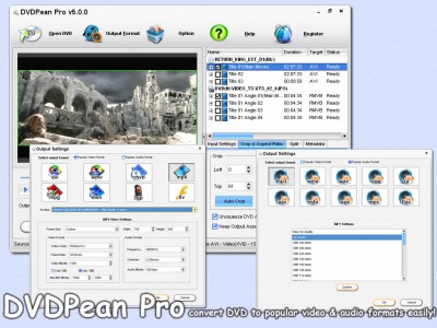 DVDPean Pro 5.8.5 screenshot