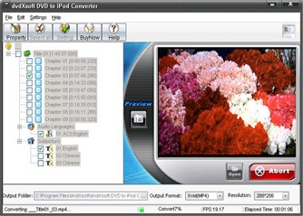 dvdXsoft DVD to iPod Converter Build 200 1.1 screenshot