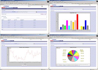 e-SoftEasy Business Analytics 2.6 screenshot