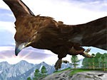 Eagle Flight 3D 1.0 screenshot