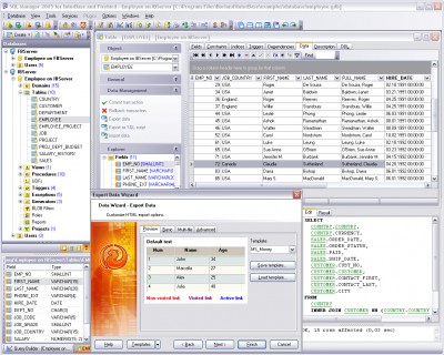EMS SQL Manager 2005 for InterBase/Firebird 4.1 screenshot