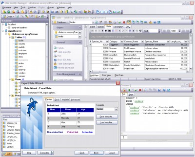 EMS SQL Manager 2007 for MySQL 4.2 screenshot