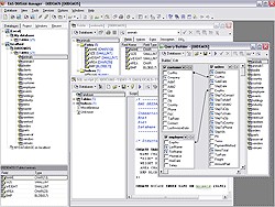 EMS SQL Manager for DBISAM 1.6 screenshot