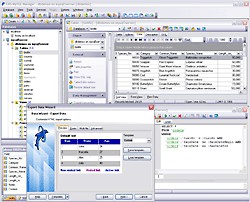 EMS SQL Manager for MySQL Freeware 4.5 screenshot