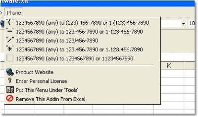 Excel Convert Phone Numbers Software 7.0 screenshot