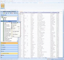 Explorer for Microsoft Excel 3.0.0.53 screenshot