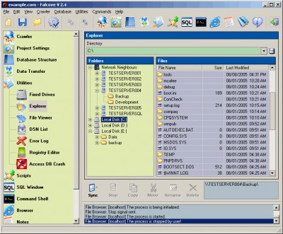 Falcove Web Vulnerability Scanner 2.4 screenshot