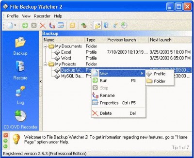 File Backup Watcher Pro v2.8.16 screenshot