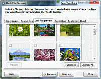 Flash File Recovery 7.3 screenshot