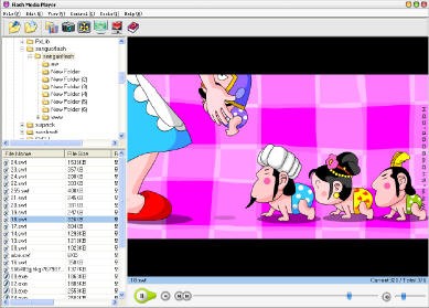 Flash Media Player 5.5 screenshot
