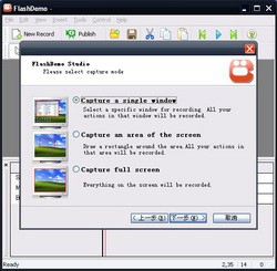 FlashDemo Screen Recorder 2.28 screenshot