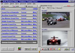Formula1 Organizer Deluxe 3.0 screenshot