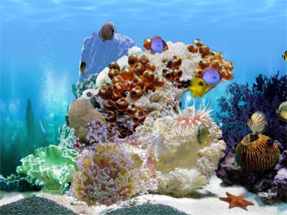 FP :: Amazing 3D Aquarium ADD-on  :: Chaetodont II 1.00 screenshot