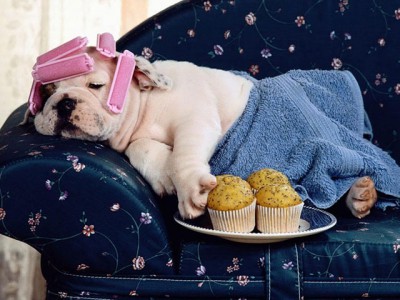 Free Bliss Screensaver 1.0 screenshot