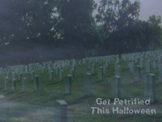 Get Petrified Halloween Wallpaper 2.0 screenshot