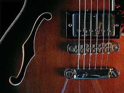 Guitar Scenes Screensaver 1.50 screenshot