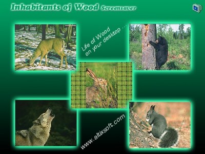 Inhabitants of Wood Screensaver 1.0 screenshot