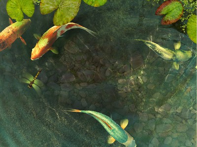 Koi Fish 3D Screensaver 1.1 screenshot