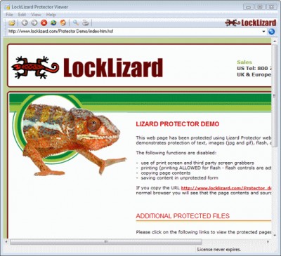 LockLizard Protector - secure web viewer 2.0 screenshot