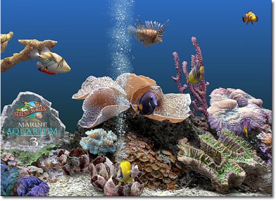 Marine Aquarium 3 3.0 screenshot
