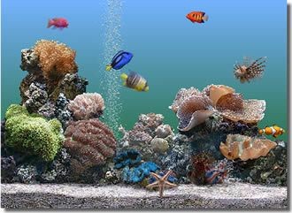 Marine Aquarium 2.6 screenshot