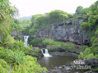 Maui - The View 1.0 screenshot