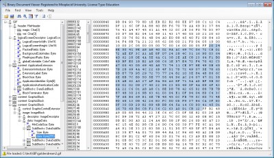 Miraplacid Binary and Text DOM SDK 3.0 screenshot