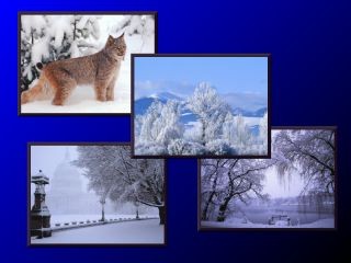 Moving Images Winter Scenes 2.0.0 screenshot