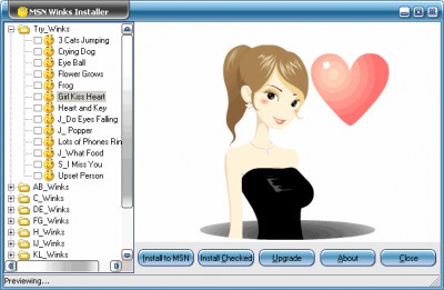 MSN Winks Installer 1.2.2 screenshot