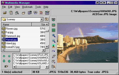 Multimedia Manager 2.5a screenshot