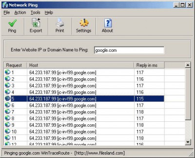 Network Ping 2.43 screenshot