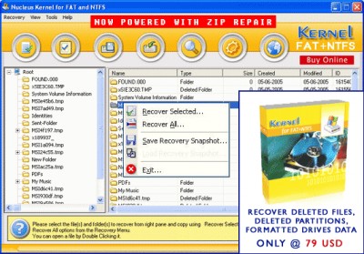 Nucleus Kernel - Formatted Drive Recovery Software 4.03 screenshot