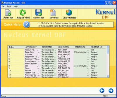 Nucleus Kernel DBF Repair Software 5.01 screenshot