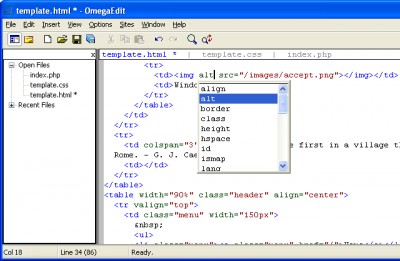 OmegaEdit 1.3.1 screenshot