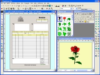 PageFocus Pro 6.14 screenshot